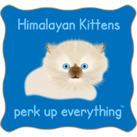 Himalayan Kittens Perk Up Everything