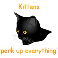 Kittens Perk Up Everything