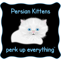 Persian Kittens Perk Up Everything