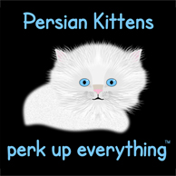 Persian Kittens Perk Up Everything