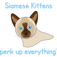 Siamese Kittens Perk Up Everything